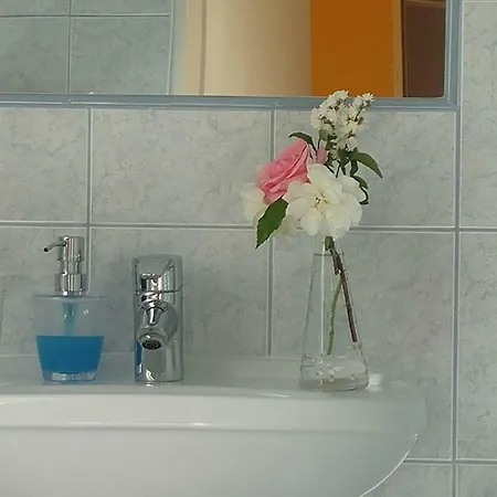 Ferienhaus-donau 3*